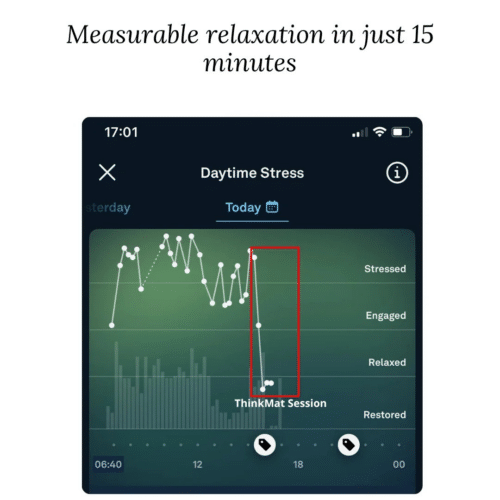Thinkmat (Official Retailer) 2026